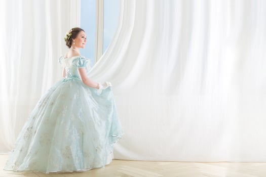 Beautiful elegant dark haired woman in historic dress on background with window photo