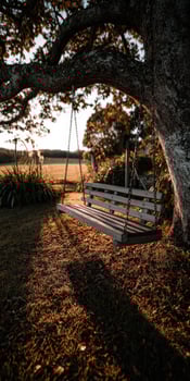 Swing hanging from a tree in a tranquil countryside at sunset photo