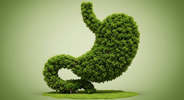A green stomach shaped like a tree photo