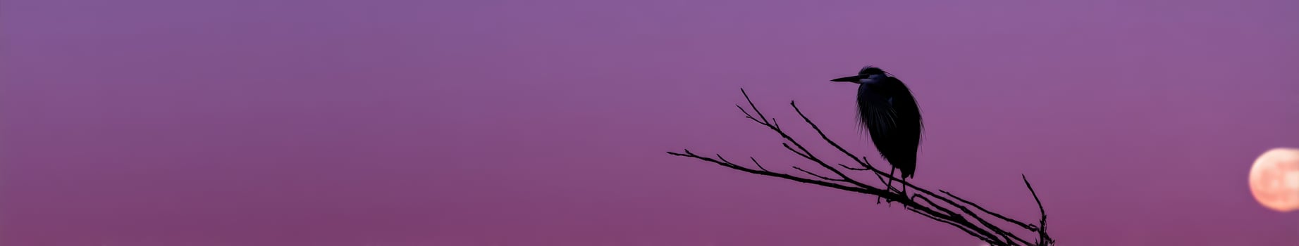 Heron resting on a branch under the glowing moon at dusk photo