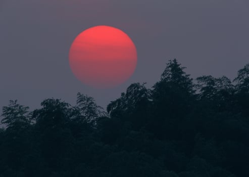 a red sun is seen over a forested area photo