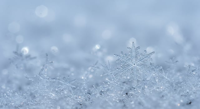 Snowflakes are seen in the background of a blue sky photo