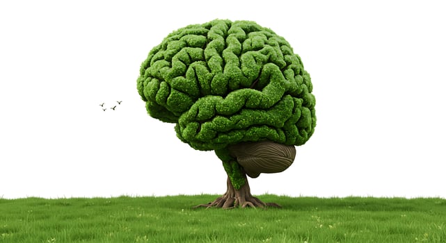 A brain shaped tree on a grassy field photo
