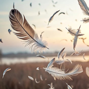 Flying Feathers in Motion Light, Airy Feathers Floating on Minimal Background photo
