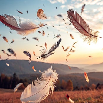 Flying Feathers in Motion photo