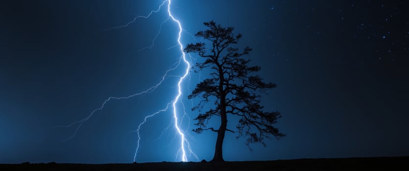 A lightning bolt strikes a tree in the night sky photo