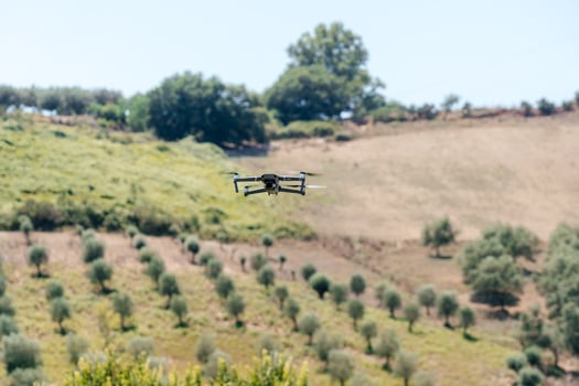 Drone flying over green olive trees farmland, agricultural landscape with olives plant among hills, olive grove garden, large agricultural areas olive trees photo