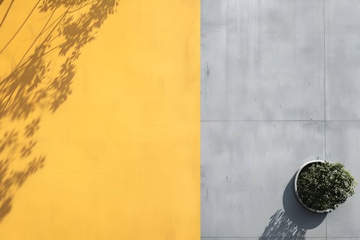 A plant in a pot on a yellow wall photo