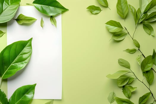 Green leaves and paper on a yellow background photo