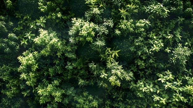 A green wall with lots of plants photo