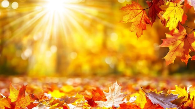 Autumn Leaves Sunlight Landscape photo