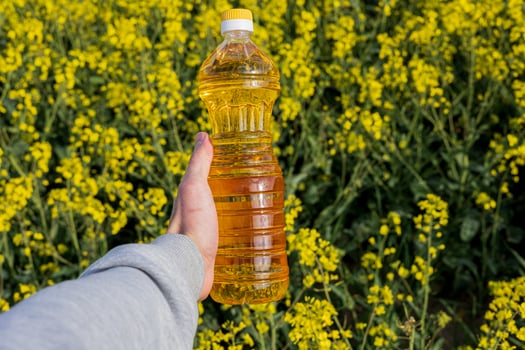 A person presents a bottle of canola oil against a backdrop of bright yellow rapeseed flowers under clear skies in a rural area photo