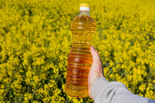 A person holds a bottle of canola oil against the vibrant yellow backdrop of a rapeseed field, highlighting agricultural growth photo