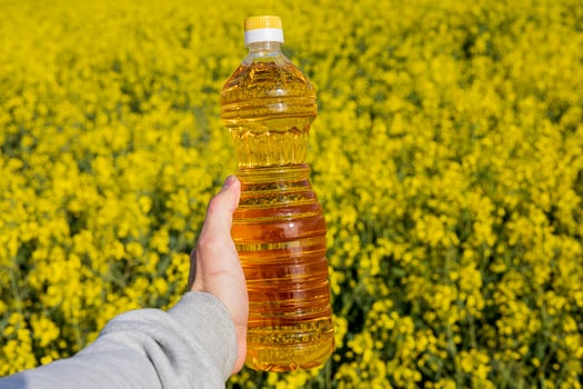 Hand holding bottle of canola oil against a bright rapeseed field showcases the link between nature and agriculture photo