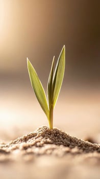 Young green sprout emerging from sand. Small plant growing in the warm sunlight. New life beginning in arid soil with hope. photo