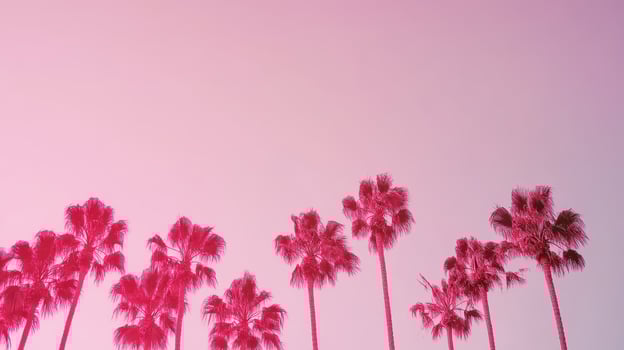 Vibrant pink sky with palm trees at sunset photo