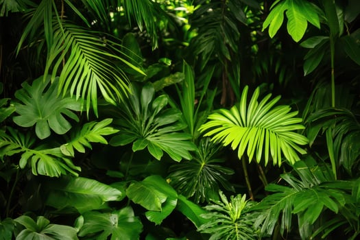 Lush greenery in a tropical jungle environment photo