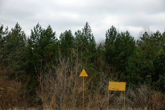 Red forest abandoned city Prypiat photo