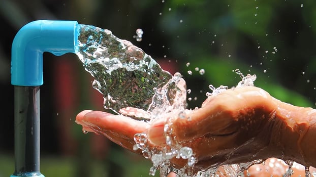 A person is holding a water hose and pouring water photo