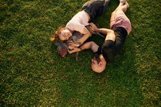 Top view,, lying on the grass. Man and woman are with dog on the field photo
