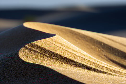 Close-up desert dune, golden sand, sunlit curves photo