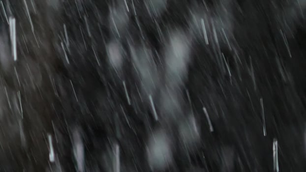 Snow falling on a tree in the dark photo
