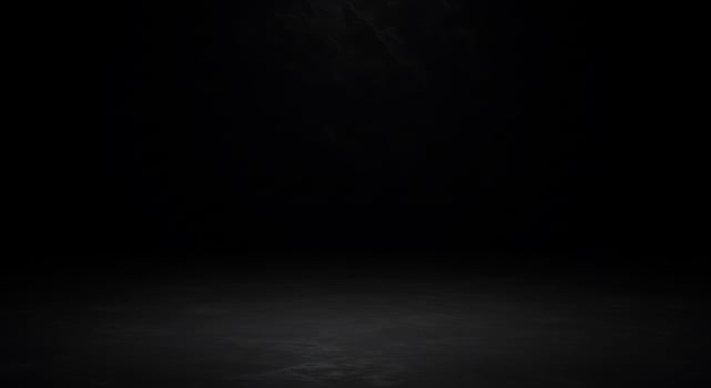 Dark room with black floor and wall photo
