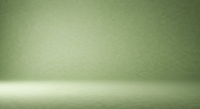 Green room with light and shadow photo