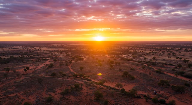 The sun sets over a desert landscape with trees photo