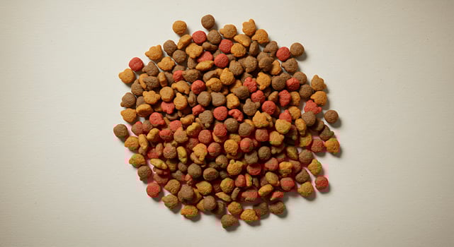 A pile of dog food on a white surface photo