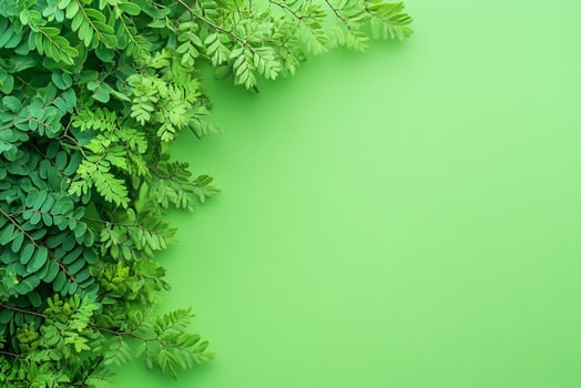 Acacia on a vibrant background, photorealistic top view Acacia plant photo