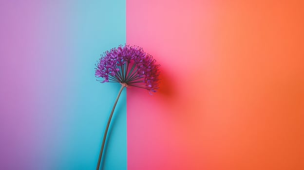 Top view photorealistic Angelica, plant set on a vibrant background photo