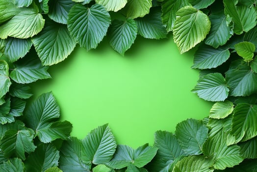 Top view photorealistic Carpinus, plant set on a vibrant background photo