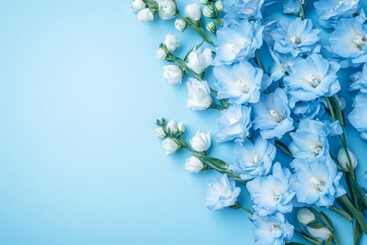 Delphinium on a vibrant background, photorealistic top view Delphinium plant photo