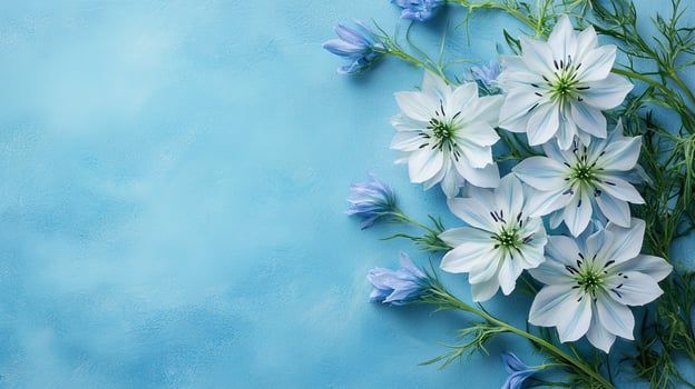 Nigella on a vibrant background, photorealistic top view Nigella plant photo