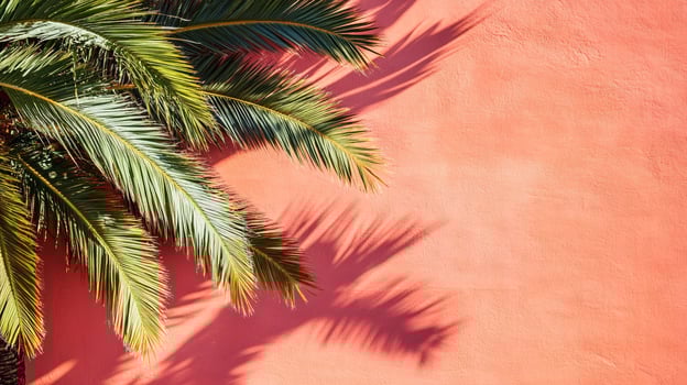 Top view Sago Palm on a vibrant background, plant setting photo