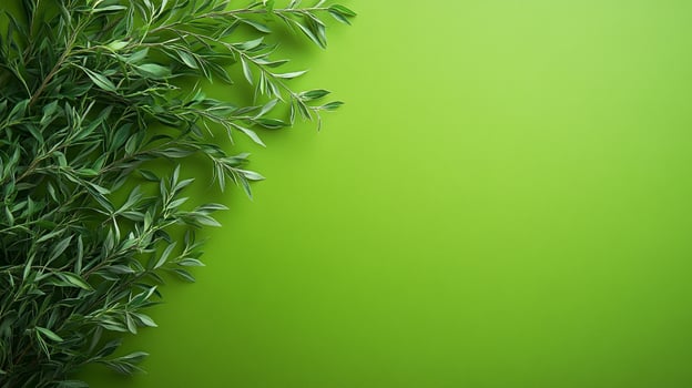 Top view Salix on a vibrant background, plant setting photo