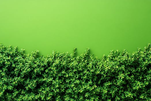 Top view Thyme creeping varieties on a vibrant background, plant setting photo