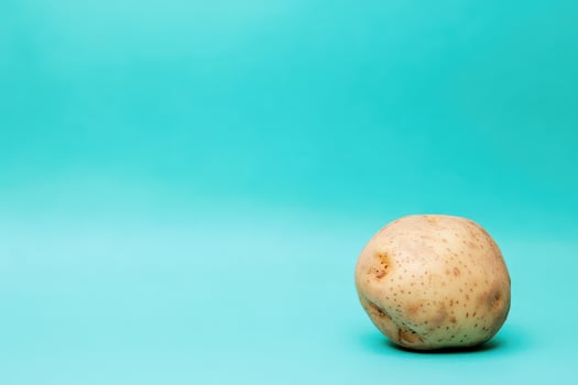 Potato sitting on a bright turquoise background photo