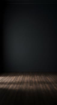 Dark room with wooden floor and black wall photo