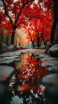 Vibrant red trees reflect in serene water during autumn at a tranquil park pathway photo