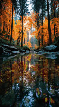 Autumn colors reflected in a tranquil forest stream in the early morning light photo