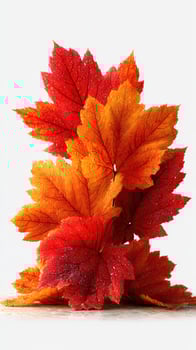 Bright autumn leaves displaying vibrant colors in a seasonal arrangement capturing the essence of fall photo