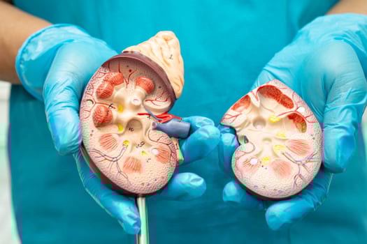 Kidney disease Chronic kidney disease ckd, photo