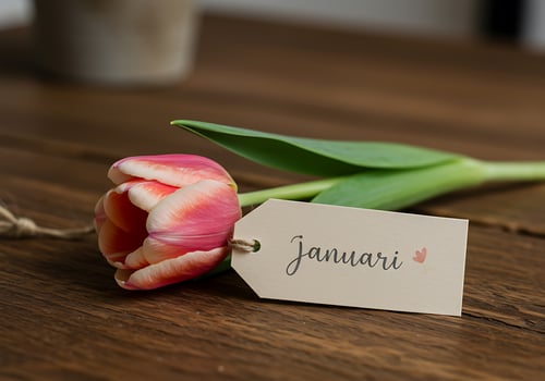 Tulip with January Tag on Wooden Table photo