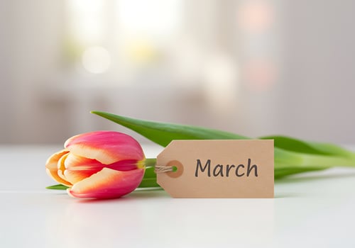 Tulip with March Tag photo