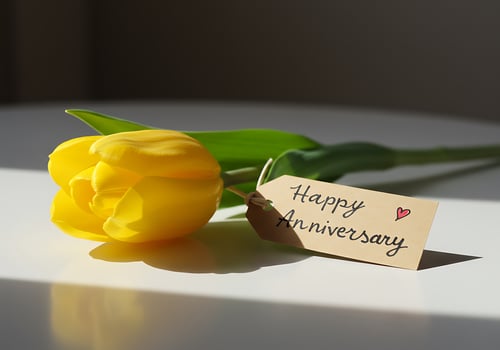 Yellow Tulip with Happy Anniversary Tag photo