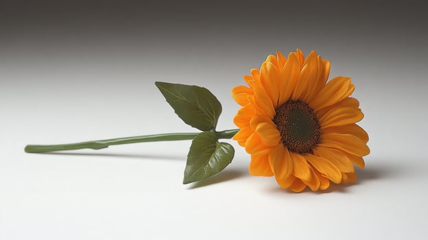 A single orange flower photo