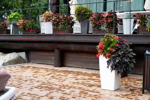 Wooden planter with blooming flowers outside a building. Flora design. photo