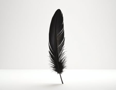 Detailed realistic black feather isolated on white background, minimalistic style focusing on intricate textures and clean presentation ideal for design, branding, or educational materials photo